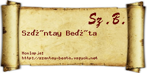 Szántay Beáta névjegykártya